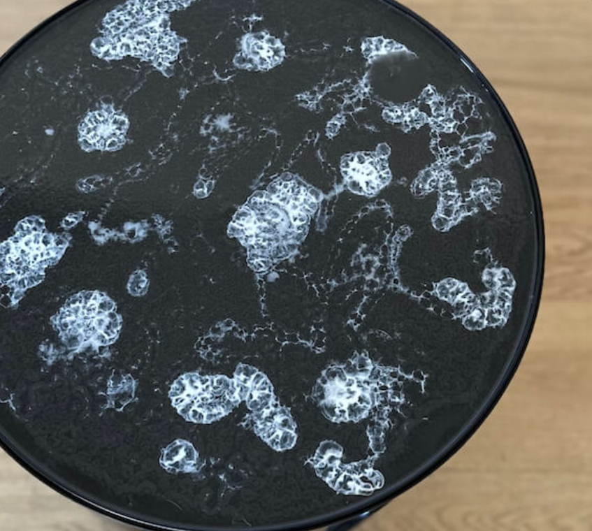 Montalto Arc – Black 1